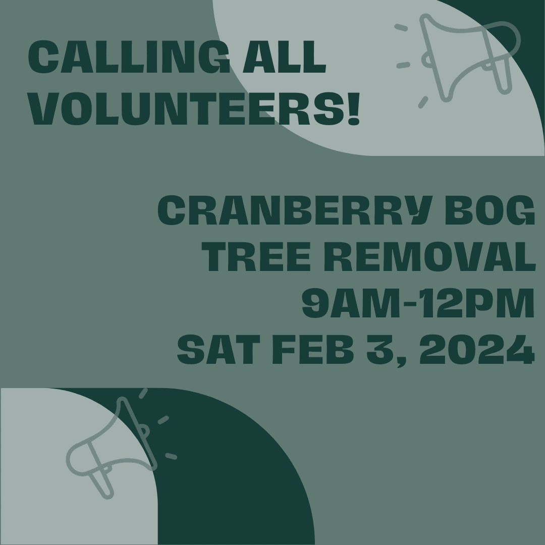 CranBog Tree Removal