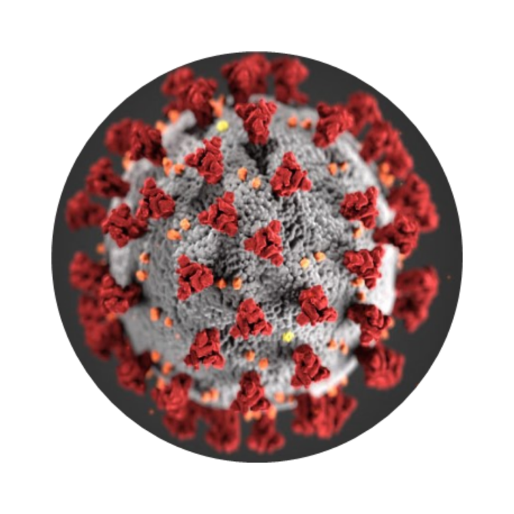 coronavirus
