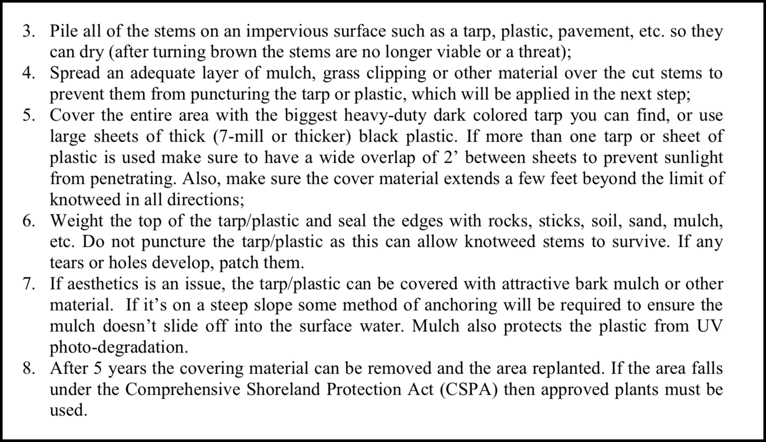 Smothering Japanese Knotweed