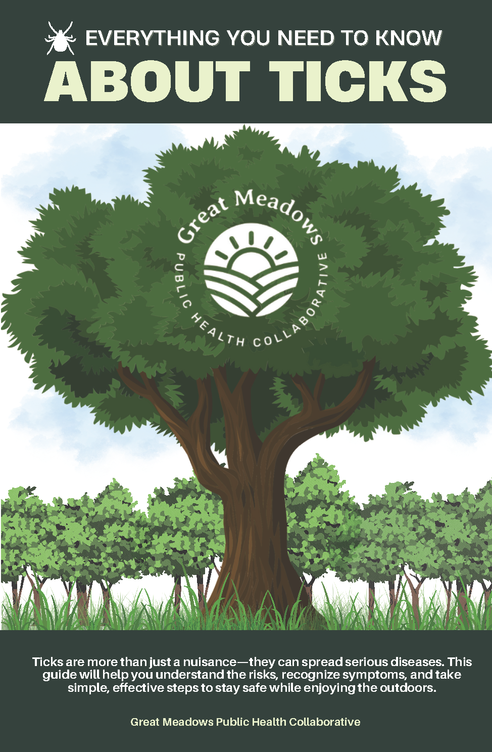 Everything You Need To Know - COVER