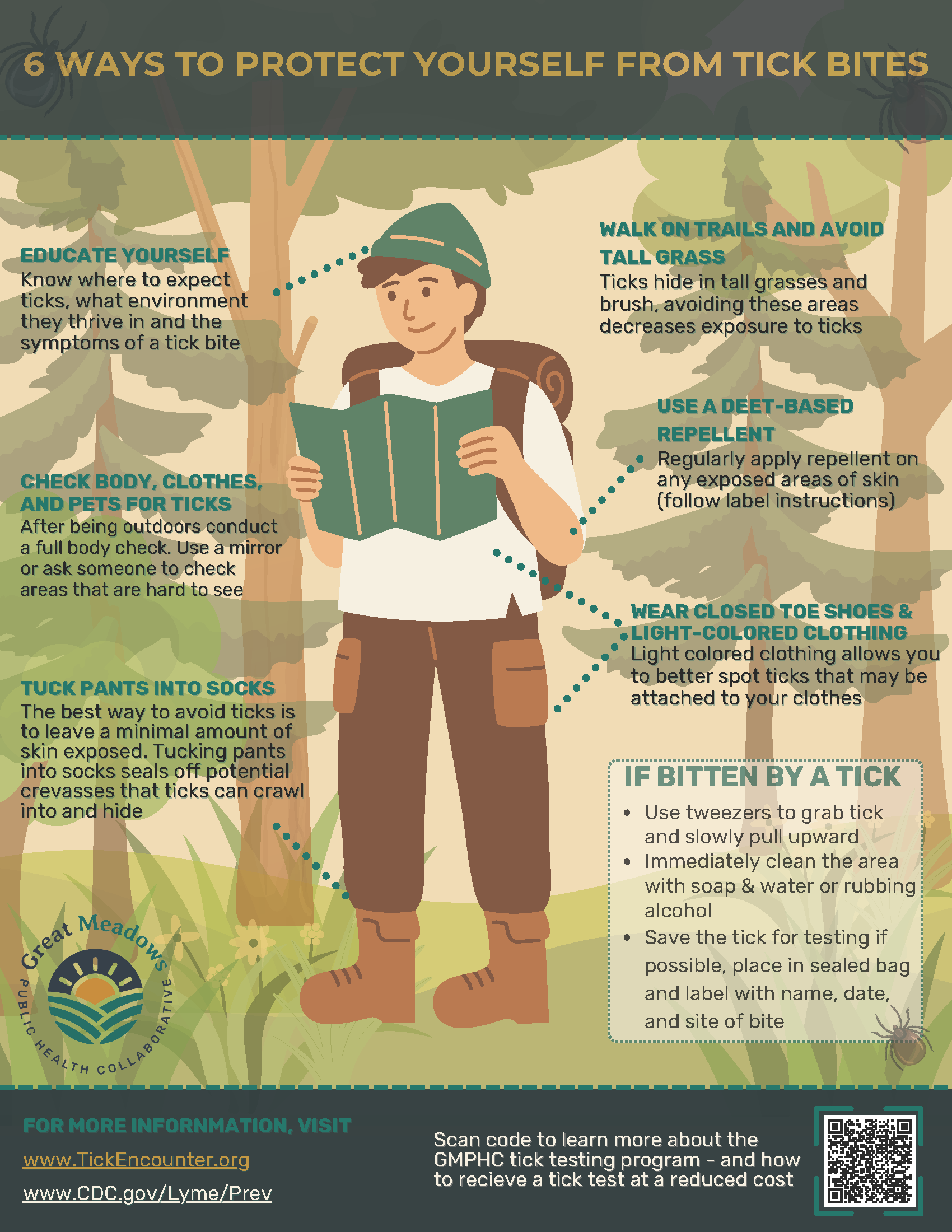 Tick Flyer - 6 Ways to Protect Yourself